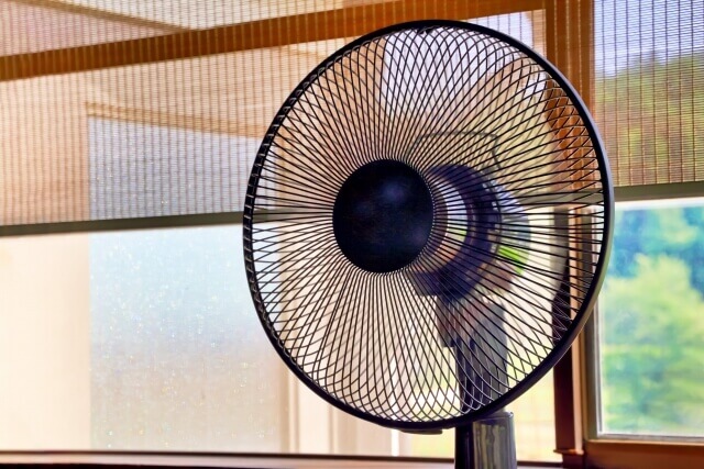 fan